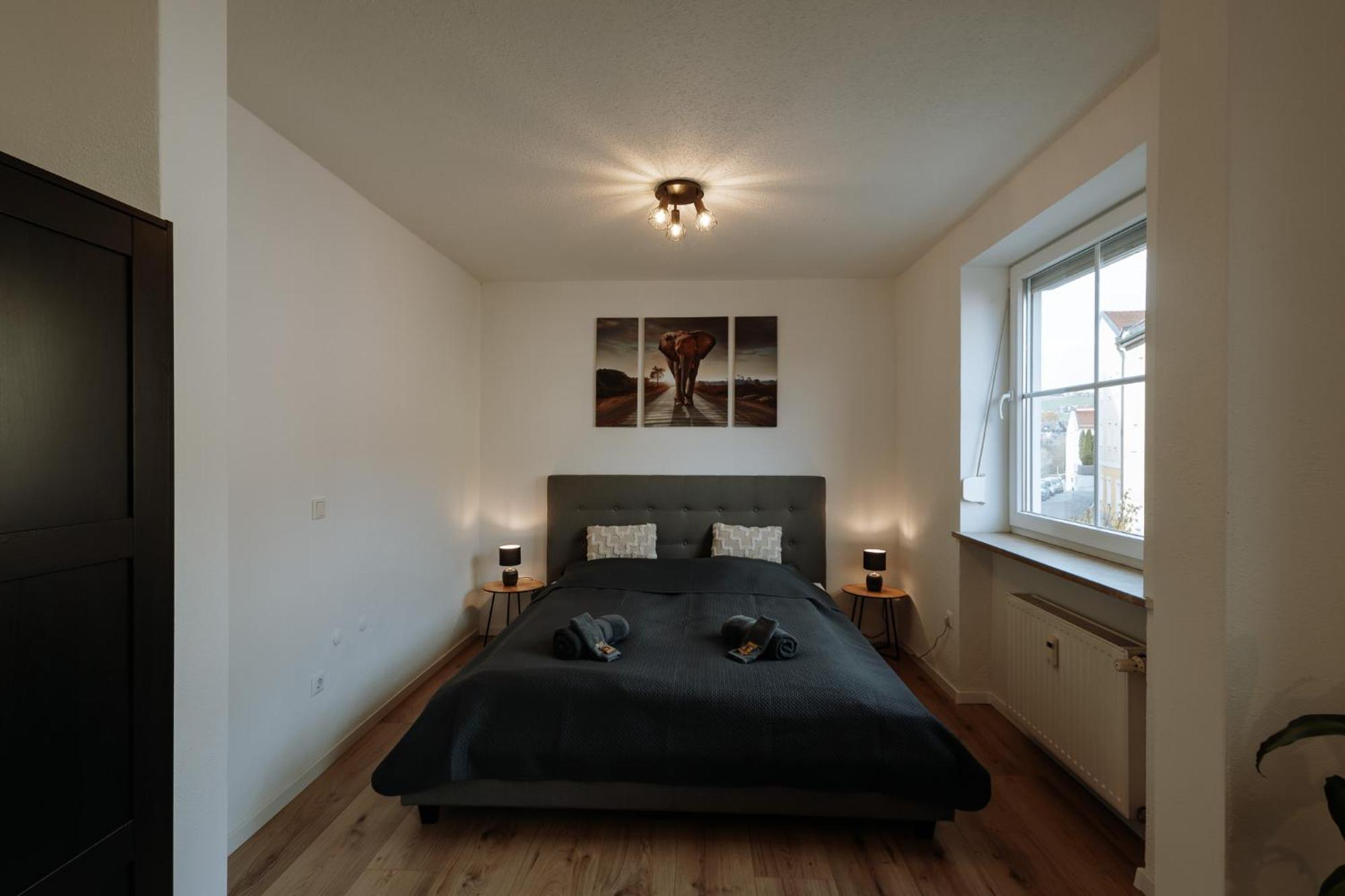 Stilvolles Appartement Mit Blick Auf Das Dreifluesse-Eck Пасау Екстериор снимка