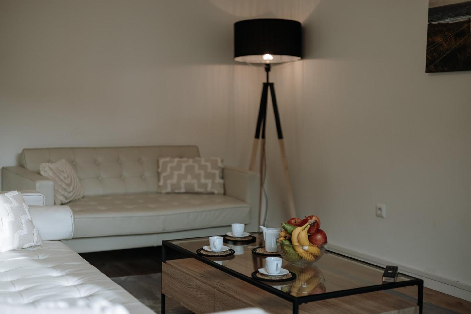 Stilvolles Appartement Mit Blick Auf Das Dreifluesse-Eck Пасау Екстериор снимка